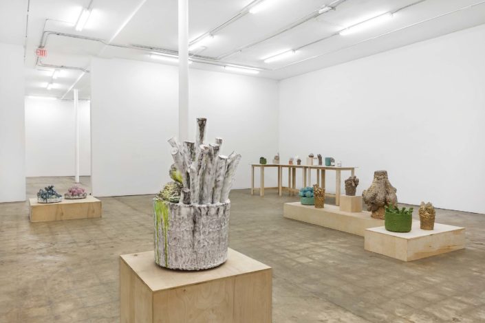 David Hicks: Clippings and Hard Fruit David Hicks: Clippings and Hard Fruit