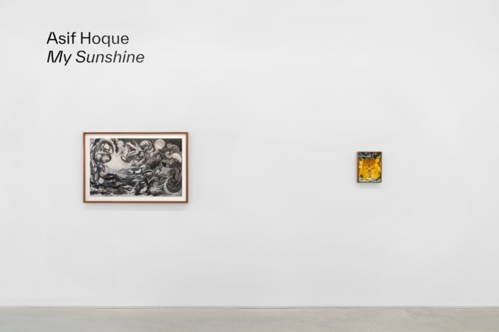 Asif Hoque: My Sunshine, Installation View. Photography by Zachary Balber.