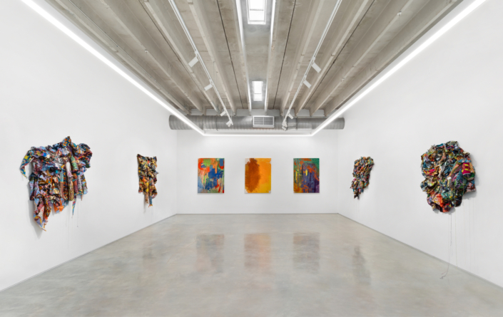 Jamele Wright, Sr.: Men Do Not Stand and Sleep, Only Elephants Can Do That!, Installation View. Photography by Zachary Balber.