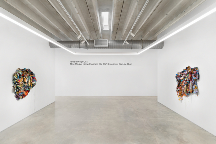Jamele Wright, Sr.: Men Do Not Stand and Sleep, Only Elephants Can Do That!, Installation View. Photography by Zachary Balber.