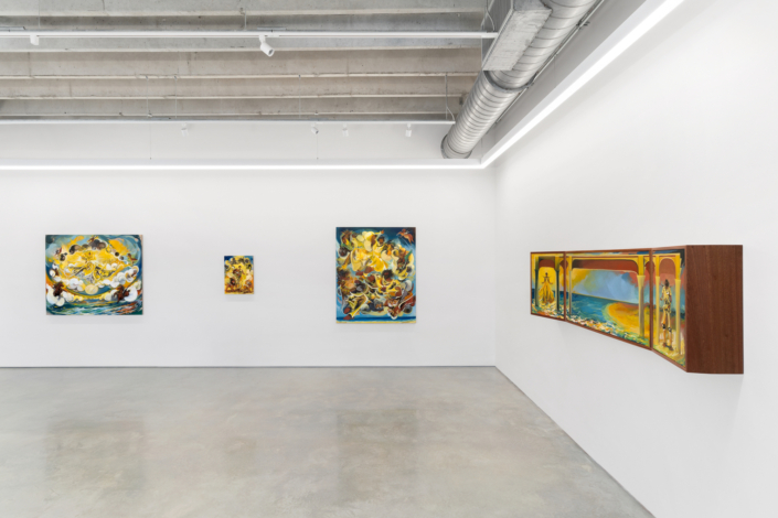 Asif Hoque: My Sunshine, Installation View. Photography by Zachary Balber.