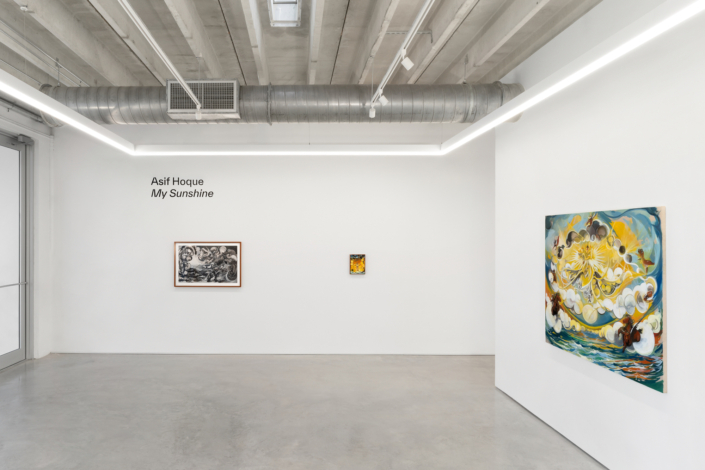 Asif Hoque: My Sunshine, Installation View. Photography by Zachary Balber.