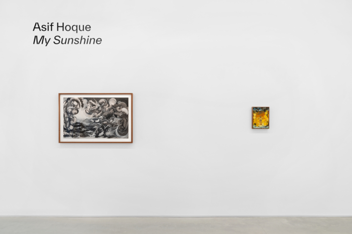 Asif Hoque: My Sunshine, Installation View. Photography by Zachary Balber.