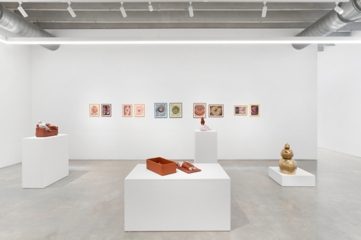 Natalia Arbelaez and Daniela Gomez Paz: Cuerpos cósmicos, between the earth and the skies / entre los cielos y la tierra Installation View. Photography by Zachary Balber.