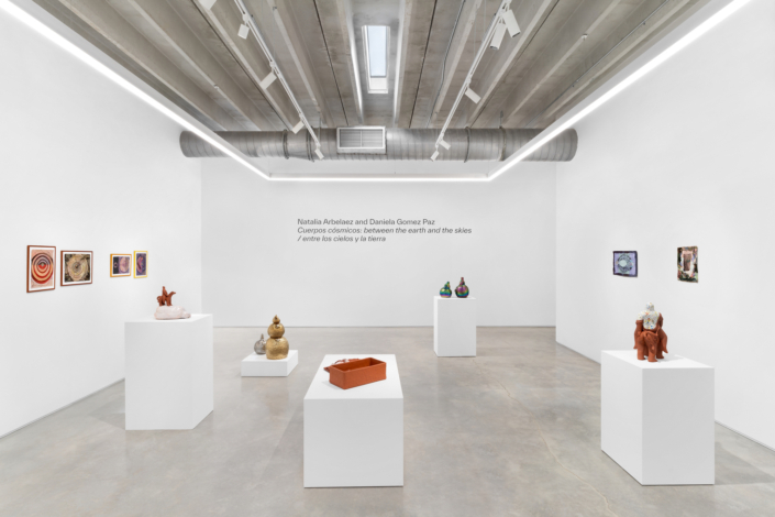 Natalia Arbelaez and Daniela Gomez Paz: Cuerpos cósmicos, between the earth and the skies / entre los cielos y la tierra Installation View. Photography by Zachary Balber.