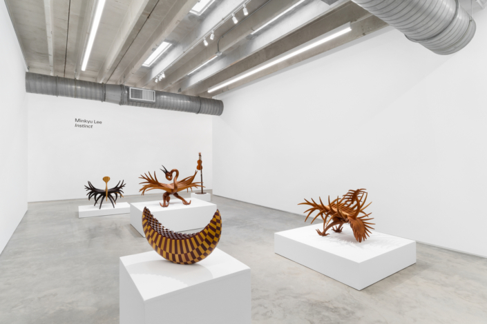 Minkyu Lee: Instinct, Installation View. Photography by Zachary Balber.