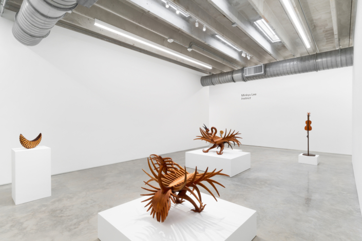 Minkyu Lee: Instinct, Installation View. Photography by Zachary Balber.