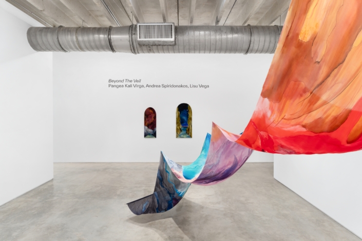 “Beyond the Veil” Installation View. Photography by Zachary Balber.
