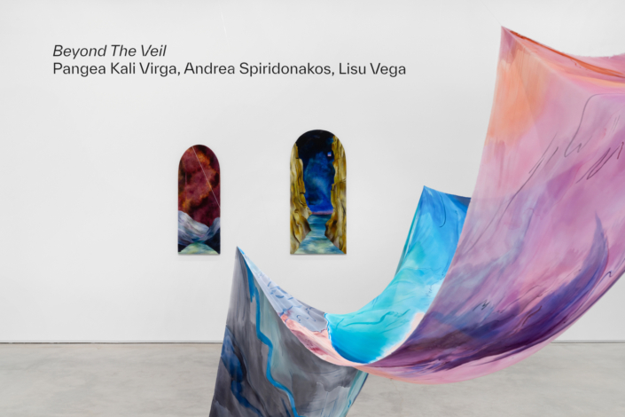 “Beyond the Veil” Installation View. Photography by Zachary Balber.