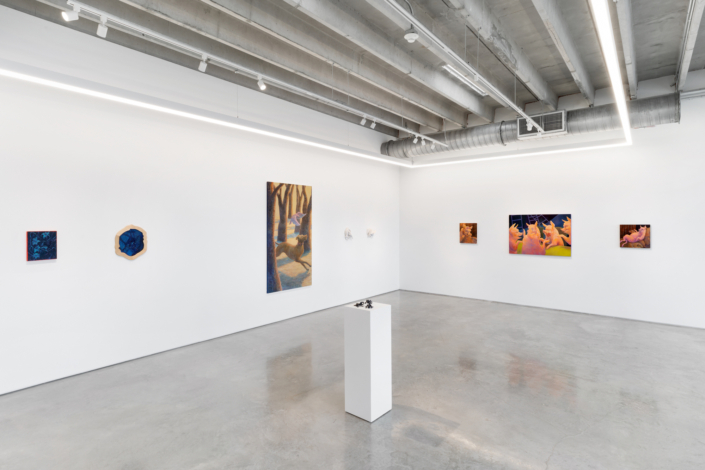 “Cuando el gato no está” Installation View. Photography by Zachary Balber.