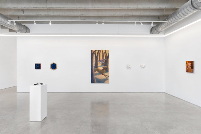 “Cuando el gato no está” Installation View. Photography by Zachary Balber.