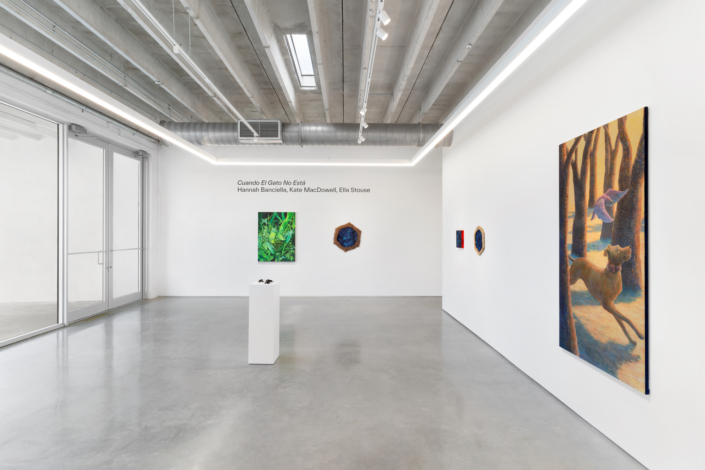 “Cuando el gato no está” Installation View. Photography by Zachary Balber.