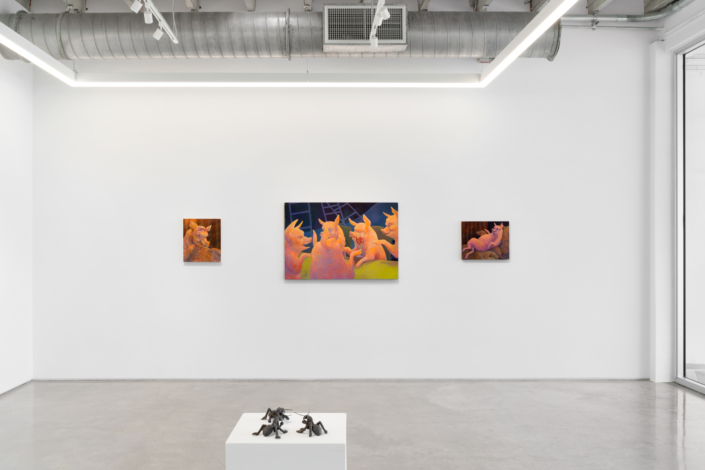 “Cuando el gato no está” Installation View. Photography by Zachary Balber.