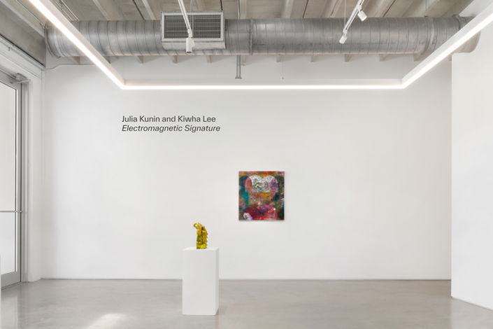 Julia Kunin and Kiwha Lee: Electromagnetic Signature, Installation View. Photography by Zachary Balber.