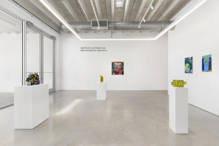 Julia Kunin and Kiwha Lee: Electromagnetic Signature, Installation View. Photography by Zachary Balber.